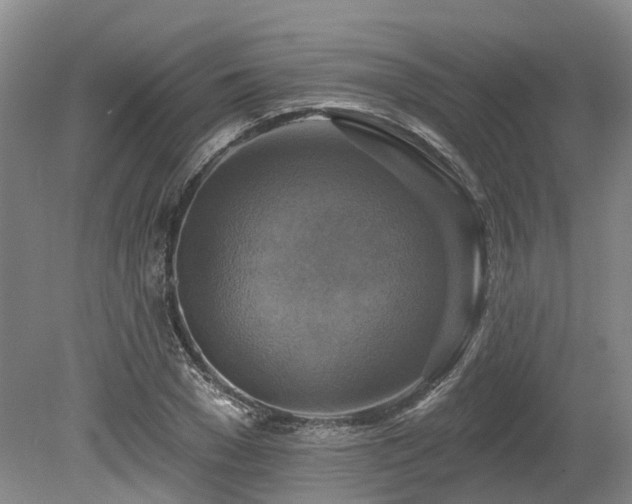 X0000080150977200612081317