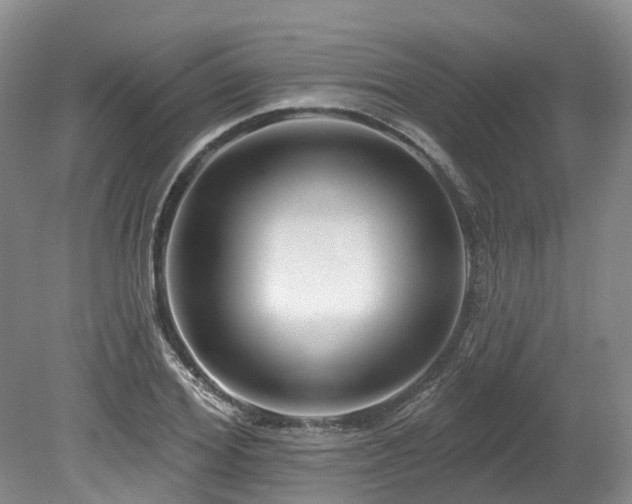 X0000080150980200612081317