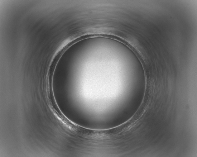 X0000080150982200612081317