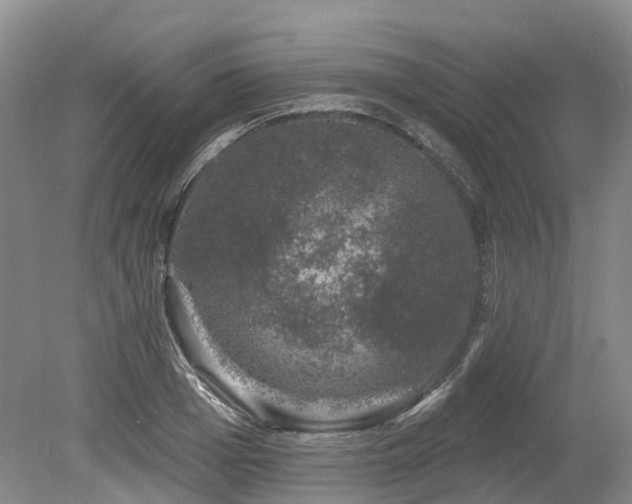 X0000080150985200612081317