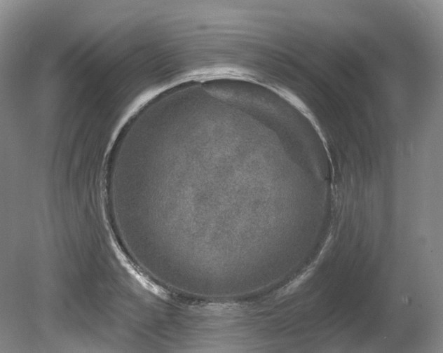 X0000080150989200612081317