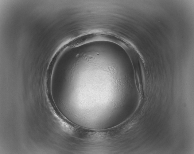 X0000080150991200612081317