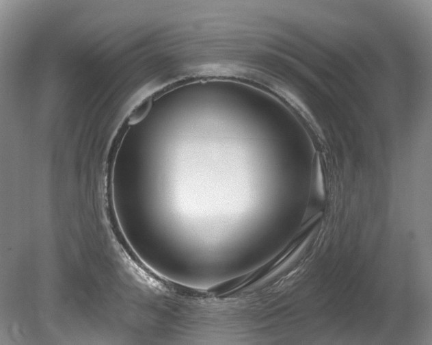 X0000080150992200612081317