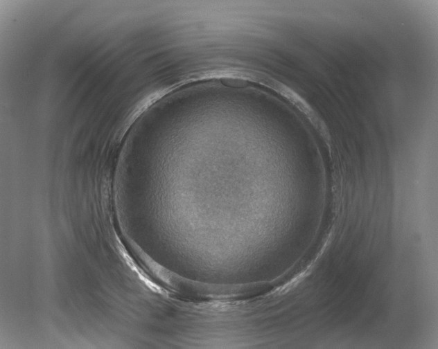 X0000080150993200612081317