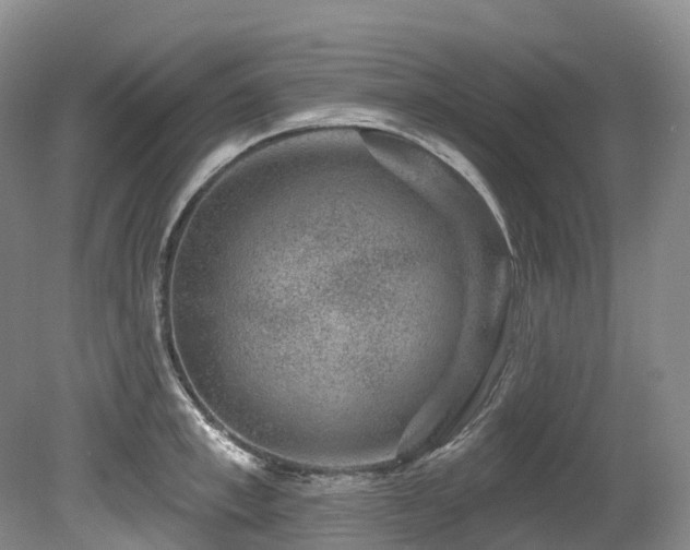 X0000080150997200612081317