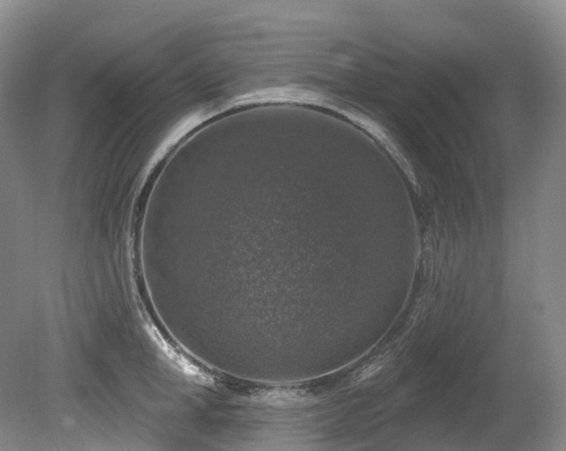 X0000080150998200612081317