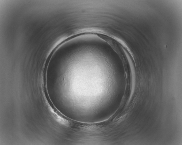 X0000080150999200612081317