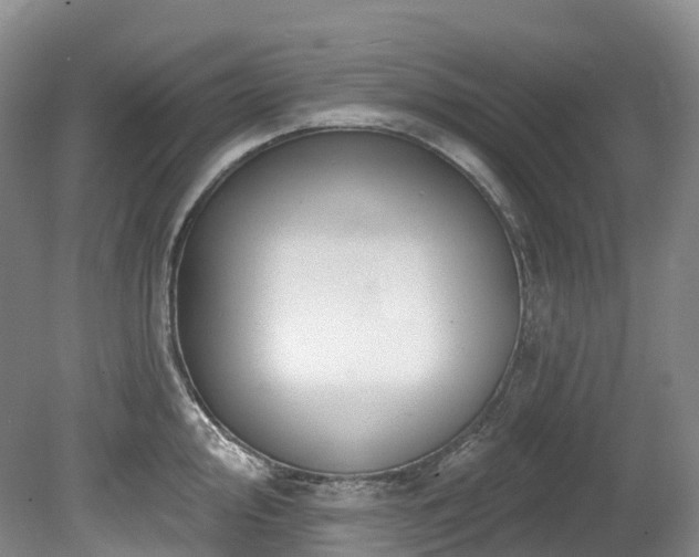 X0000080151000200612081317