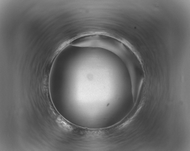 X0000080151001200612081317