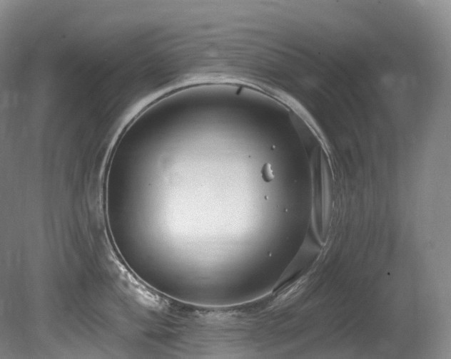 X0000080151004200612081317