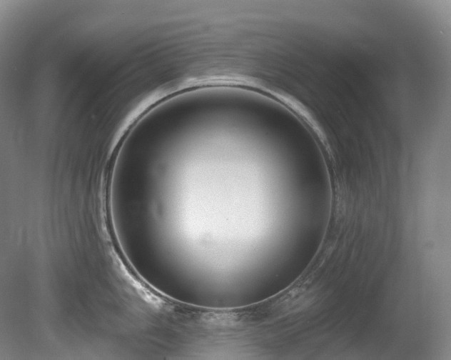 X0000080151006200612081317
