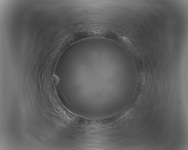 X0000080151009200612081316