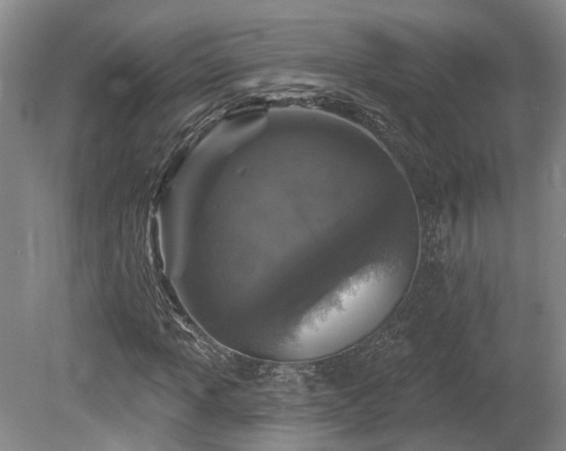 X0000080151013200612081316