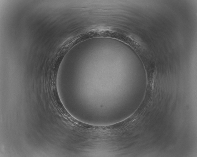 X0000080151014200612081316