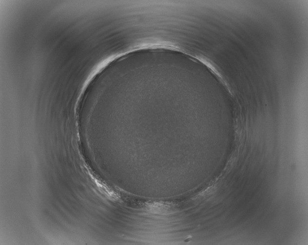 X0000080151022200612081316