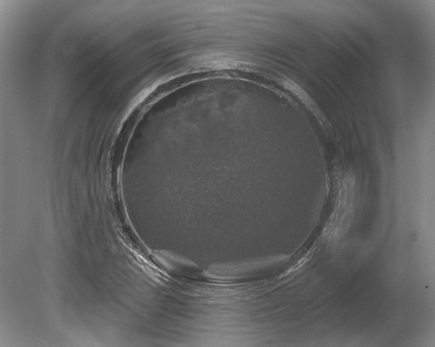X0000080151023200612081316