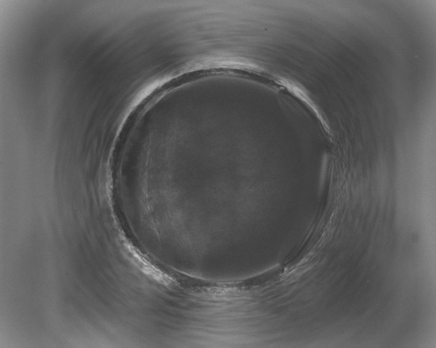 X0000080151024200612081316