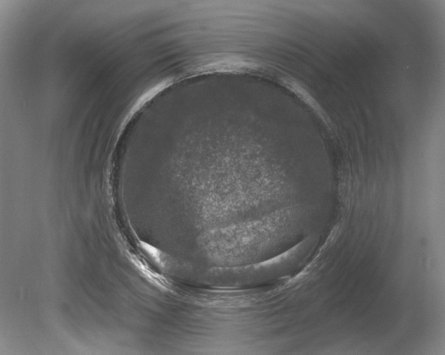 X0000080151026200612081316