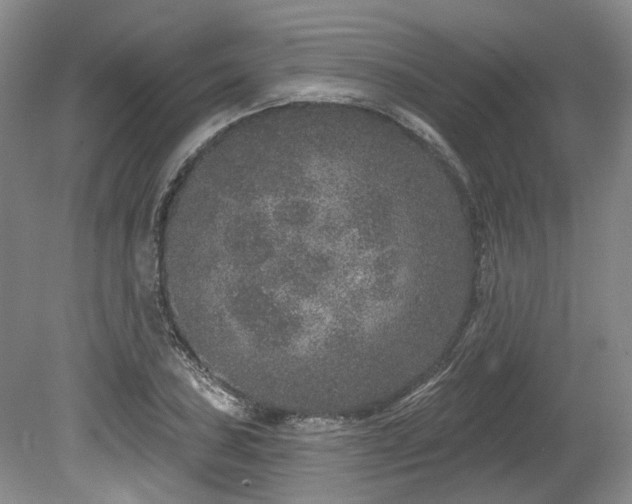 X0000080151027200612081316
