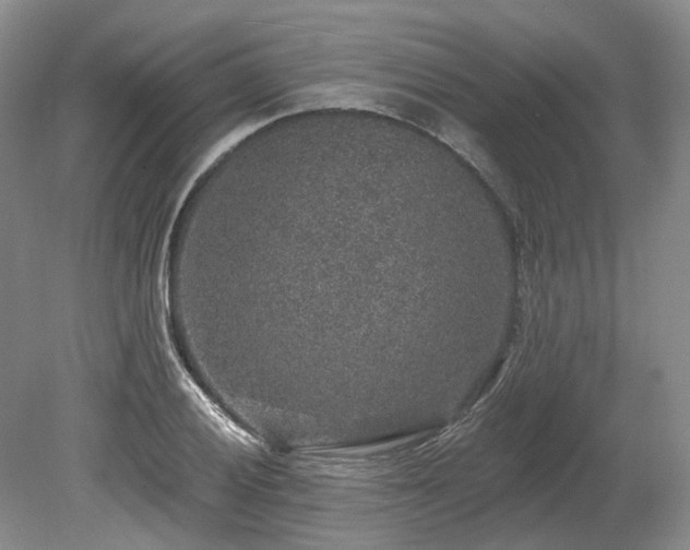X0000080151028200612081316