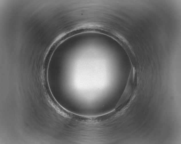 X0000080151029200612081316