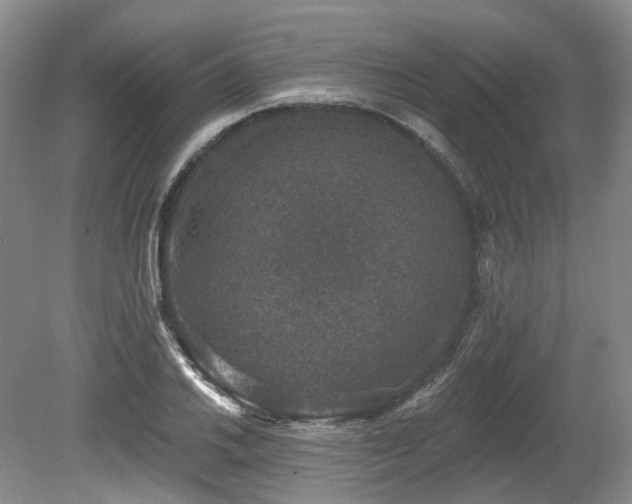 X0000080151030200612081316