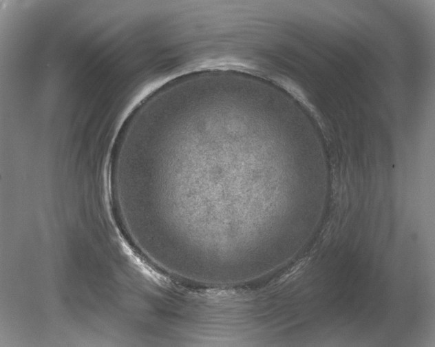 X0000080151032200612081316
