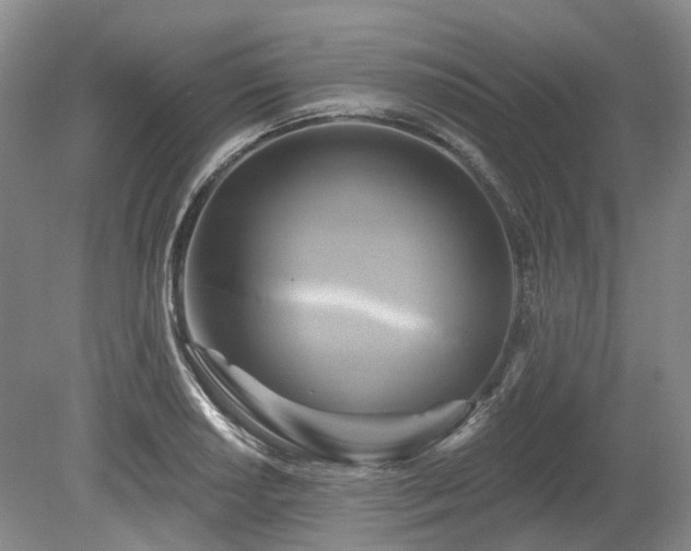 X0000080151034200612081316