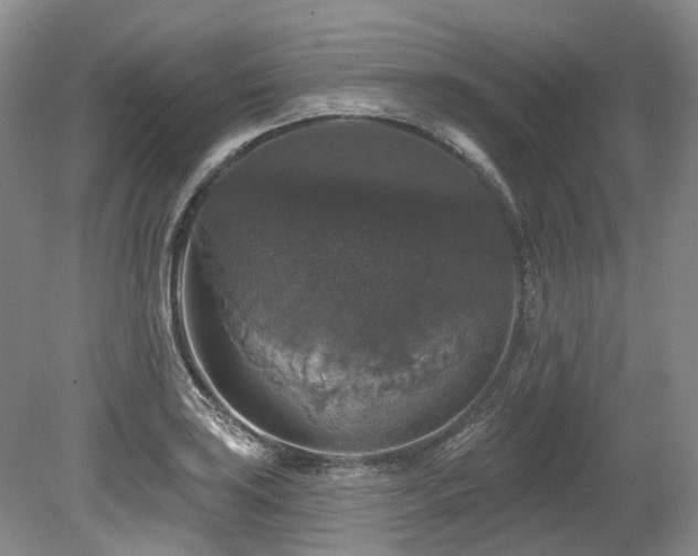 X0000080151035200612081316