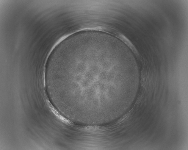 X0000080151036200612081316