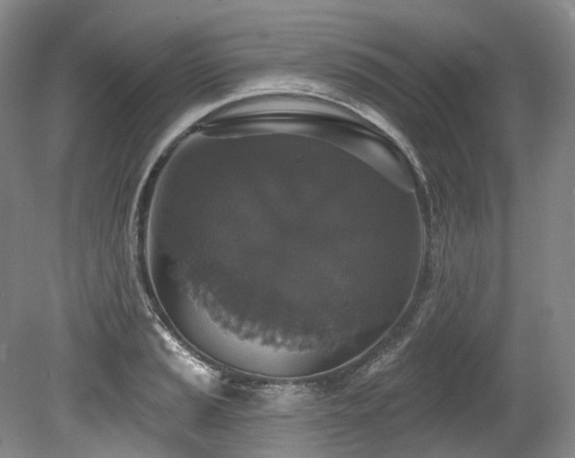 X0000080151037200612081316