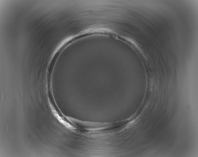 X0000080151038200612081316