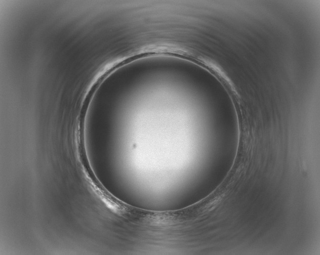 X0000080151040200612081316