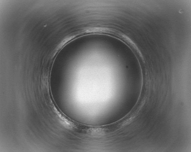 X0000080151041200612081316