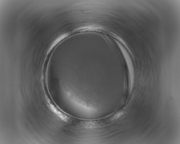 X0000080151042200612081316
