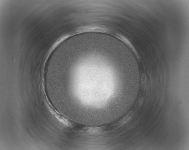 X0000080151043200612081316