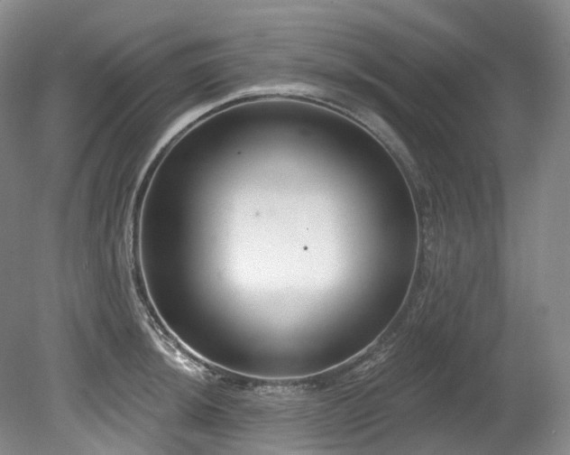 X0000080151044200612081316