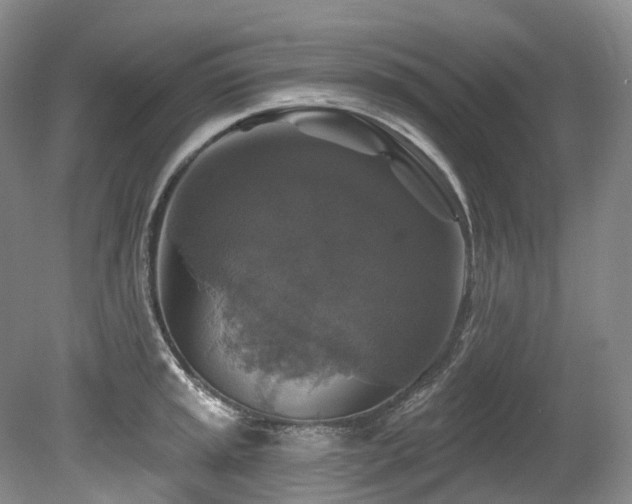 X0000080151045200612081316