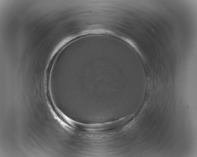 X0000080151046200612081317