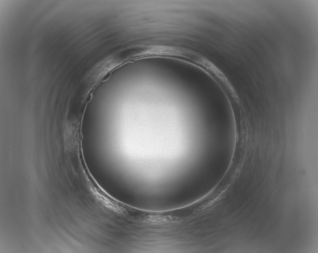 X0000080151049200612081317