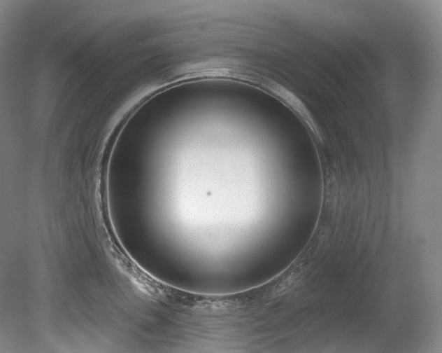 X0000080151051200612081317