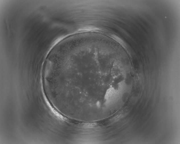 X0000080151055200612081317