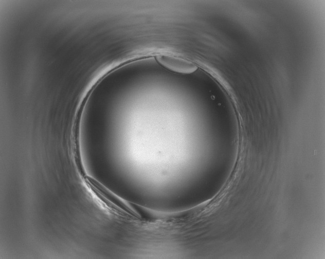 X0000080151056200612081317