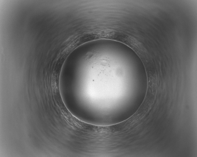 X0000080151058200612081316