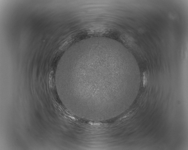 X0000080151059200612081316