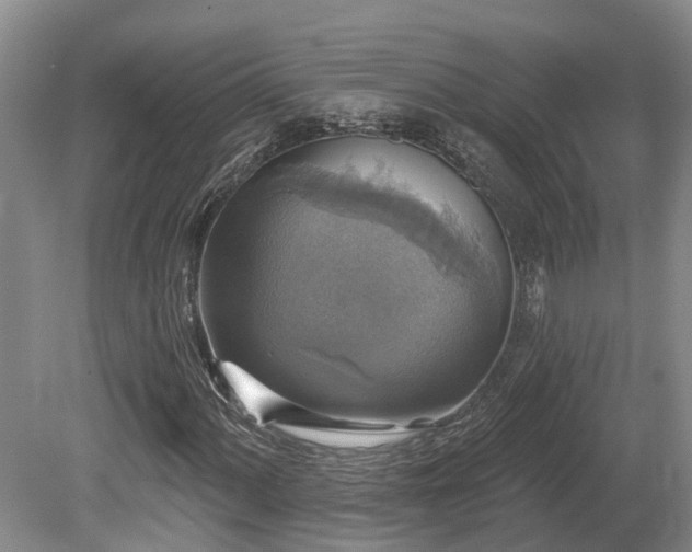 X0000080151060200612081316