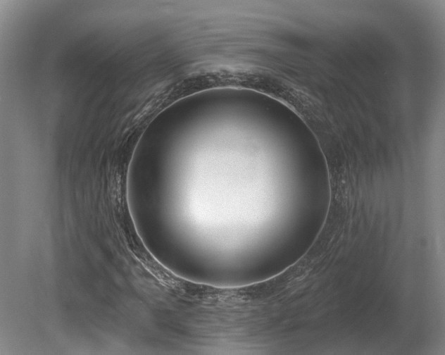 X0000080151061200612081316