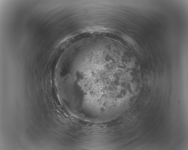 X0000080151063200612081316