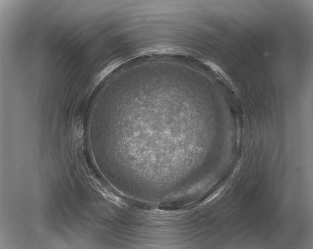 X0000080151065200612081316