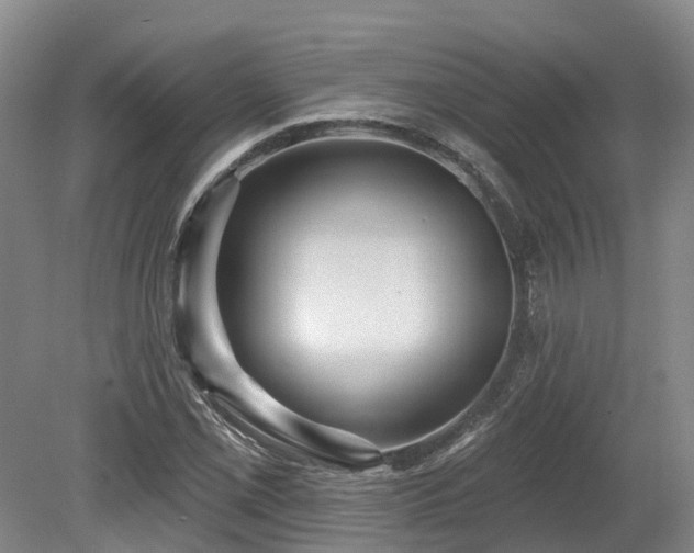 X0000080151069200612081316
